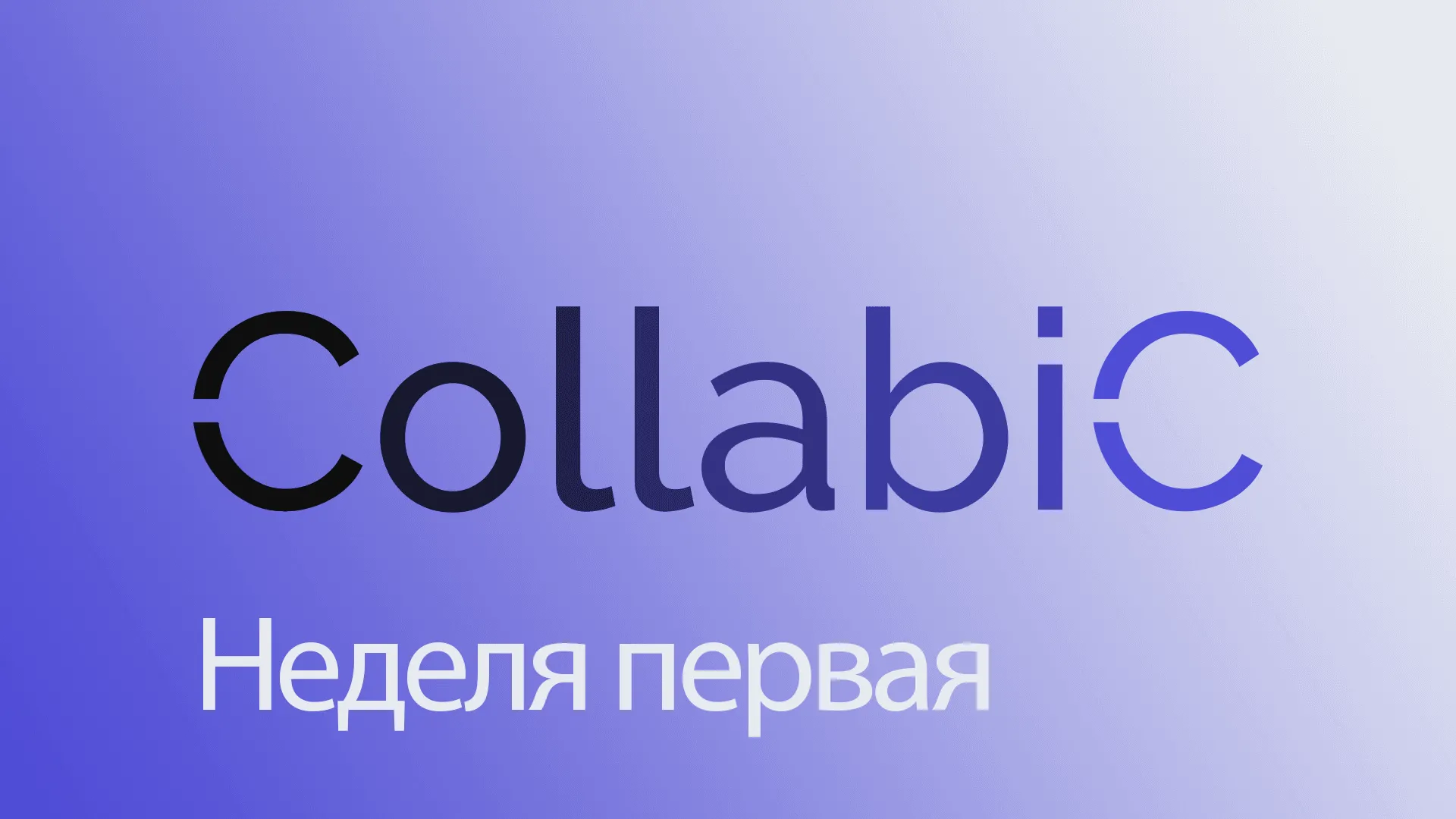 CollabiC. Статус. Первая неделя.